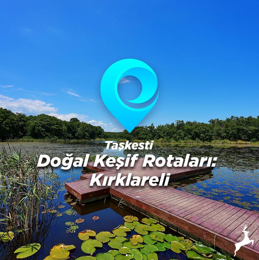 Düzce Sena Gıda