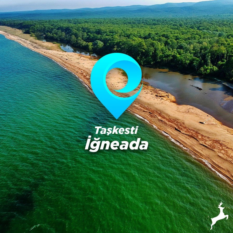 Düzce Sena Gıda