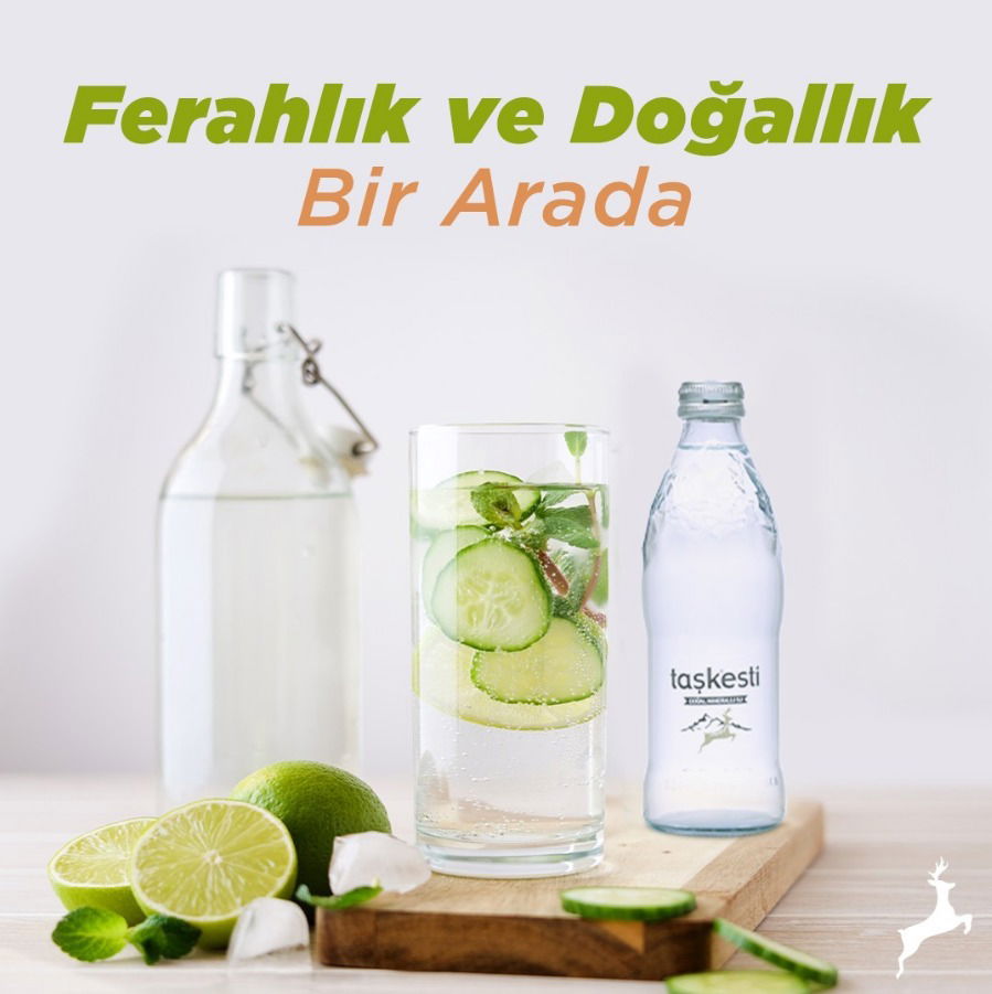 Düzce Sena Gıda