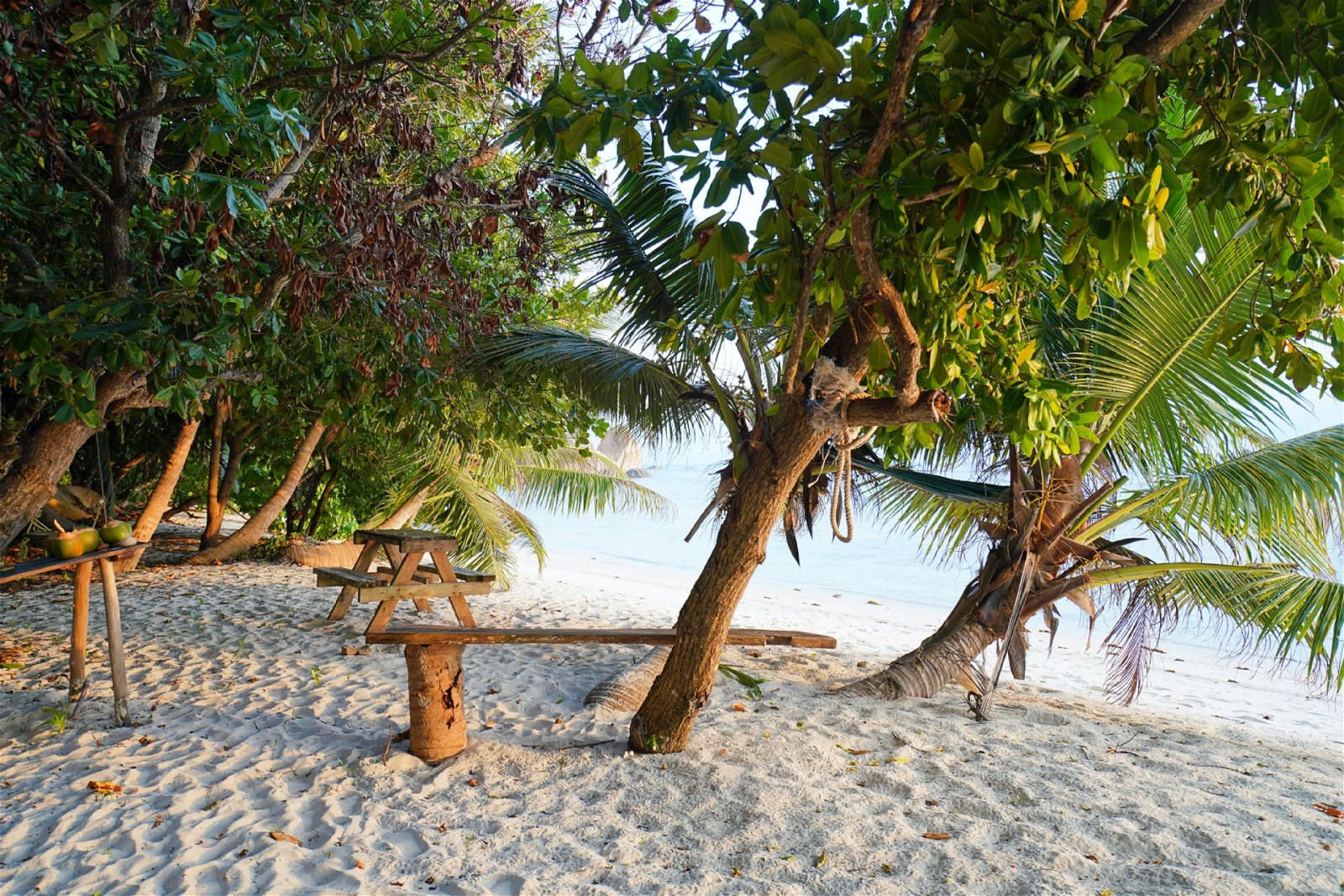 General Features of Anse Georgette 
