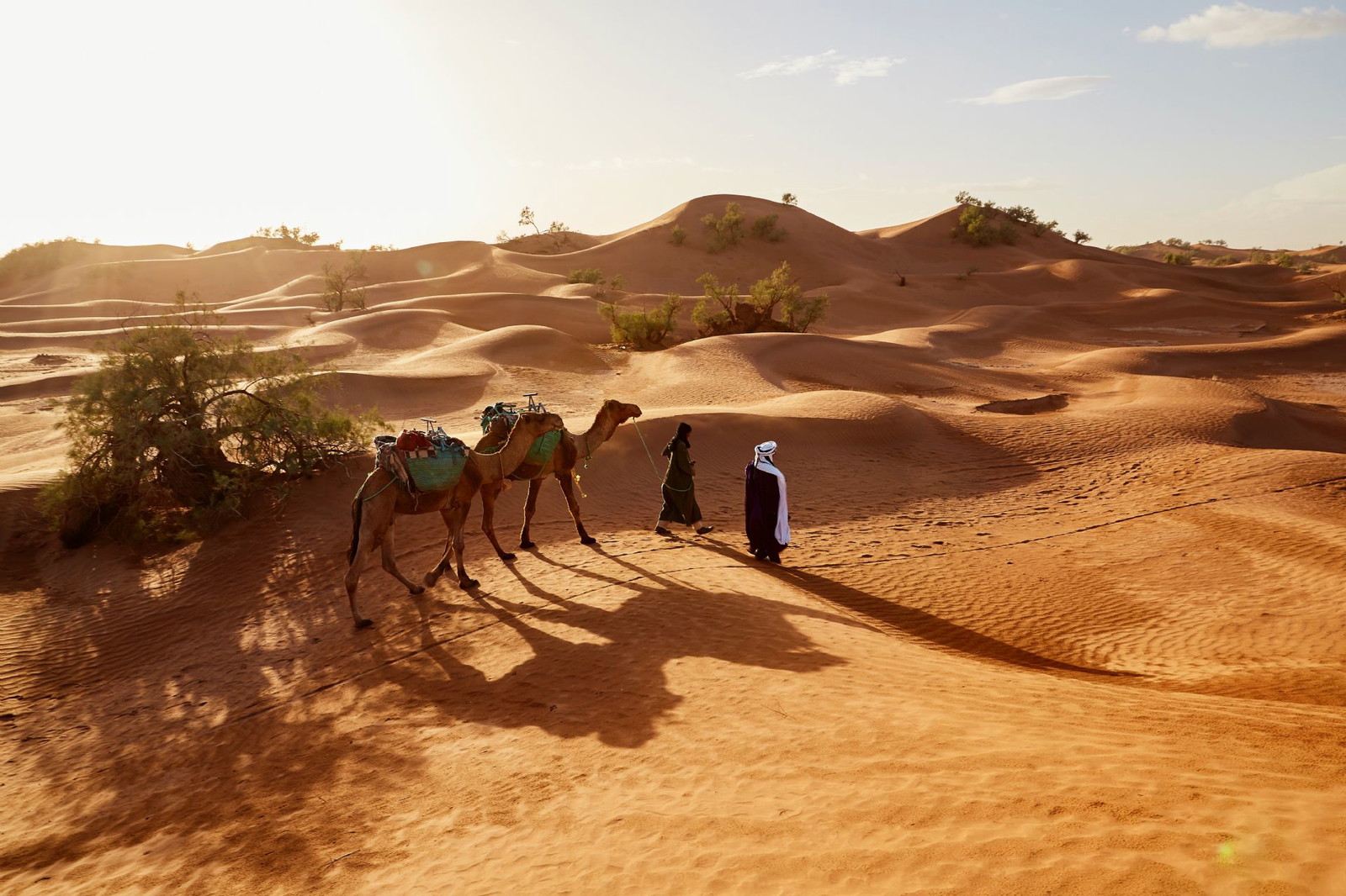 Embark on a luxury Morocco desert tour and discover the mesmerizing beauty of the Sahara. Indulge in personalized experiences, cultural encounters, and awe-inspiring landscapes. Book your adventure today