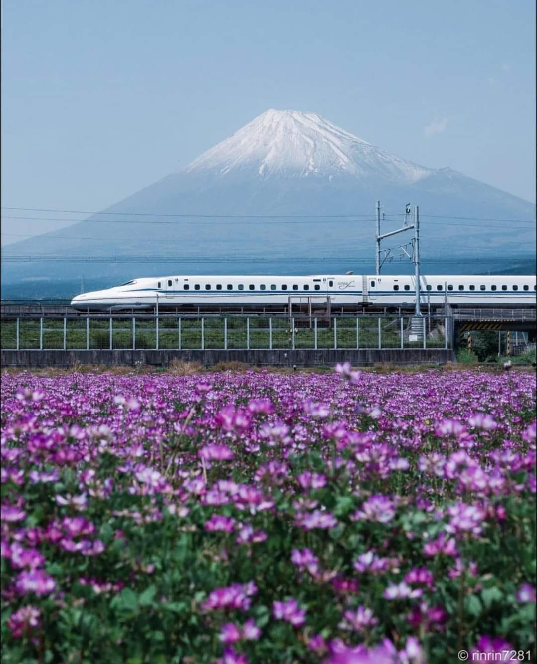Train fares in Japan vary depending on factors like distance, speed, and class of service. On average, expect to pay around ¥10,000 (approximately $90 USD) for a one-way Shinkansen journey between major cities