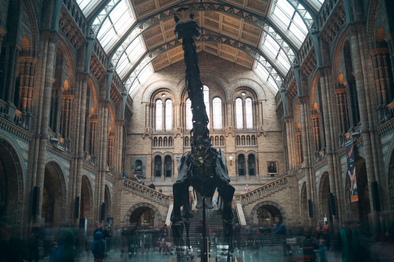 British Columbia Best Museums and Art Galleries