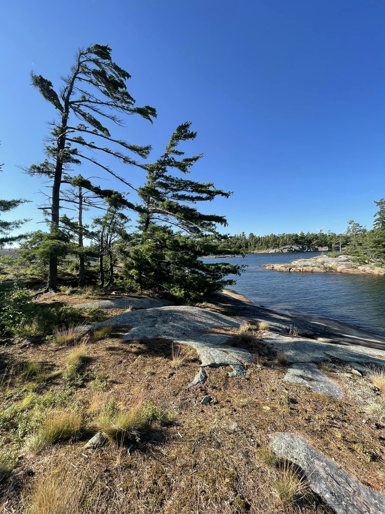 Byng Island offers visitors a wide range of activities amidst its natural beauty and stunning landscapes: