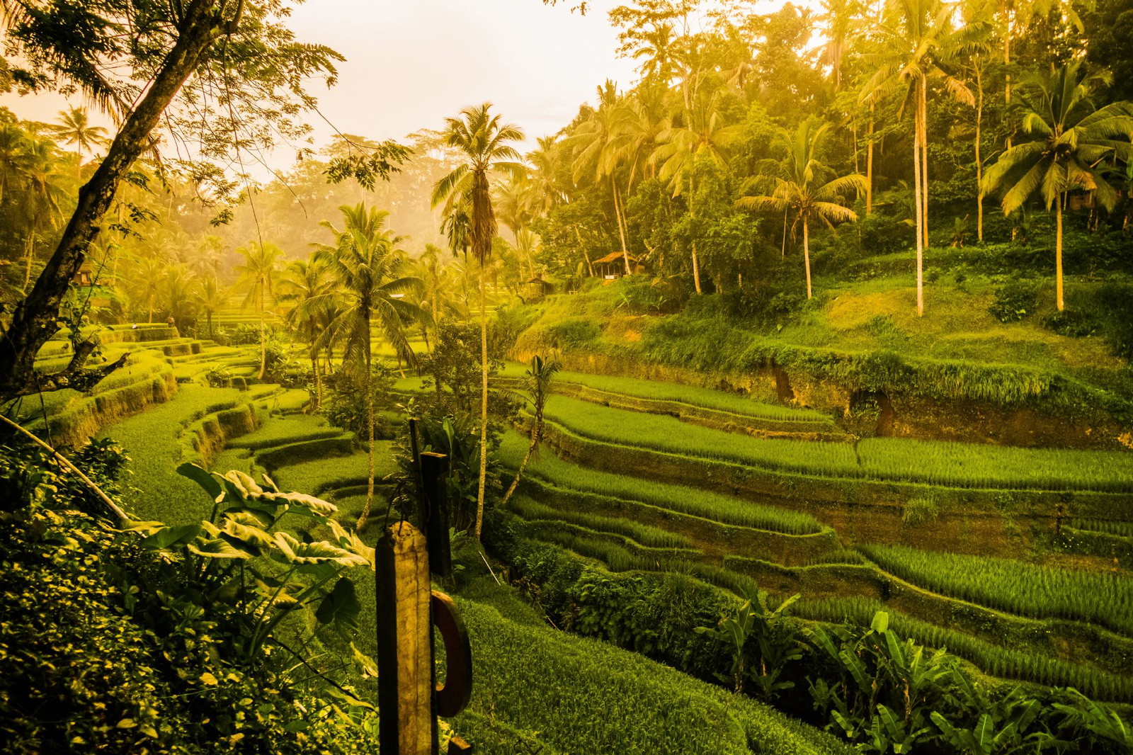 Located amidst lush rice paddies and tropical forests, Ubud is known as the cultural heart of Bali.