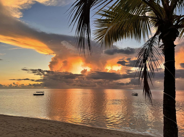 Discover Castaway Island, Fiji: A Tropical Paradise