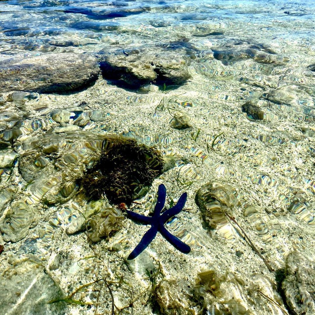 Monuriki Island Beach: Famous as the filming location for the movie "Cast Away" starring Tom Hanks, Monuriki Island Beach is a picture-perfect destination