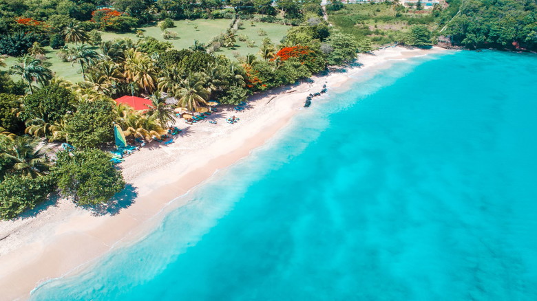 Anse Georgette Best Beach A Tropical Paradise in Seychelles