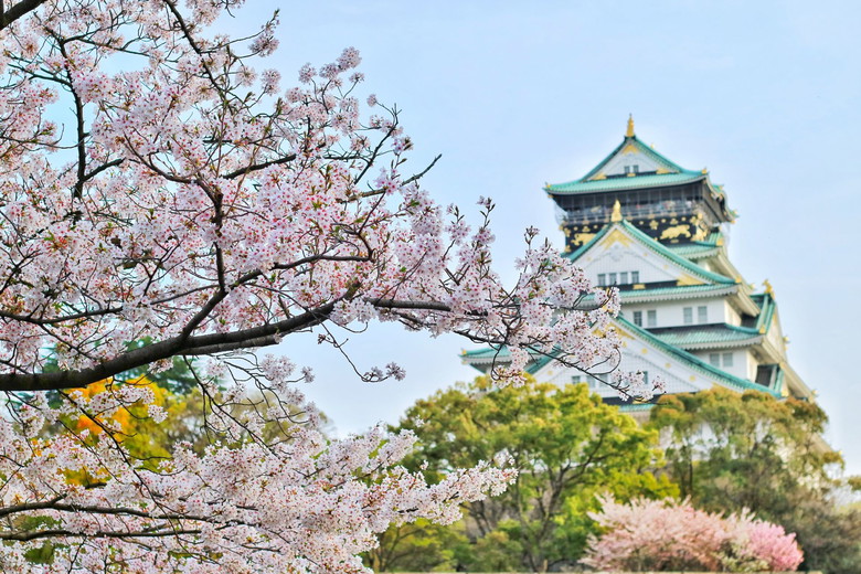 Best ways to reach Osaka, airlines, fares, transportation options, and ideal seasons
