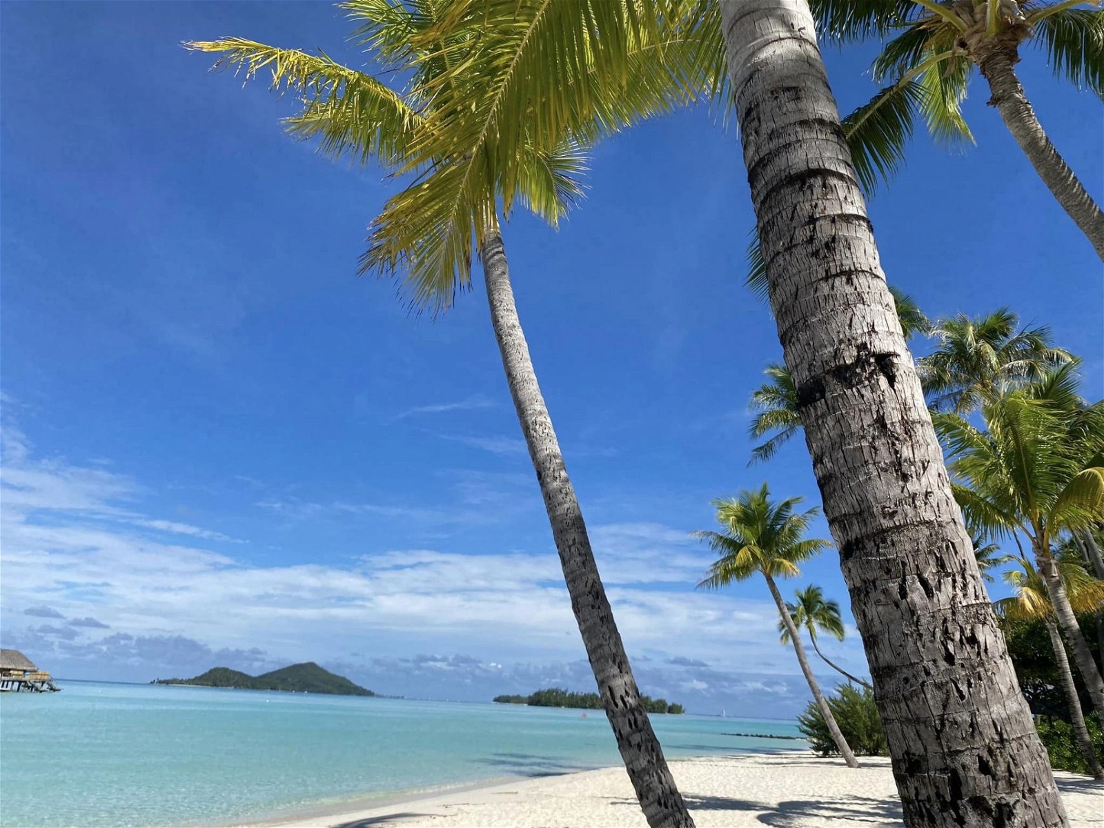 How to Get to Bora Bora Beach? Nearest Airport and Average Airfare