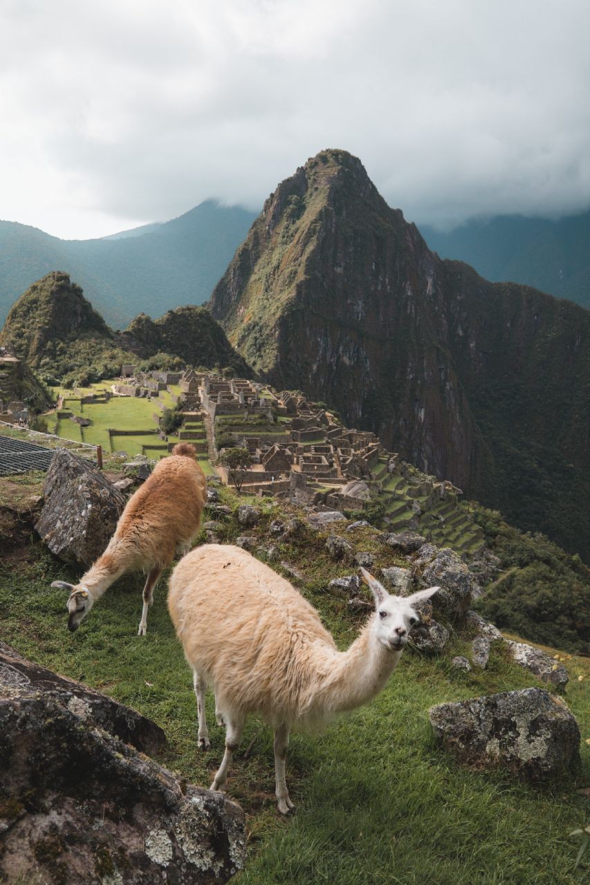 Contents and Activities of Luxury Machu Picchu Tours