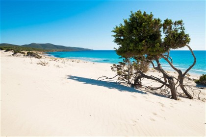 World's Best Beach Revealed: Cows Beach, Sardinia Island, Italy