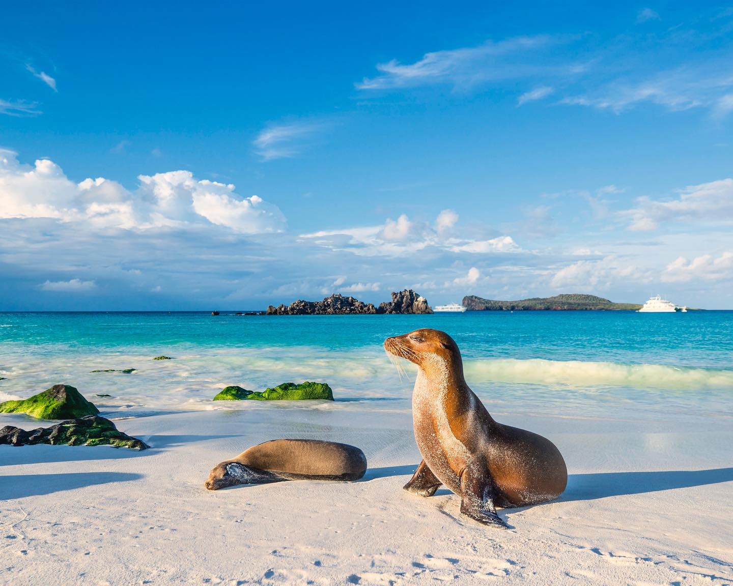 Galapagos: Snorkel with sea lions, hike volcanic landscapes, witness giant tortoises, and marvel at unique wildlife found nowhere else on Earth.