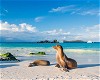 Ensuring Safety and Luxury: A Guide to Galapagos and Machu Picchu Tours