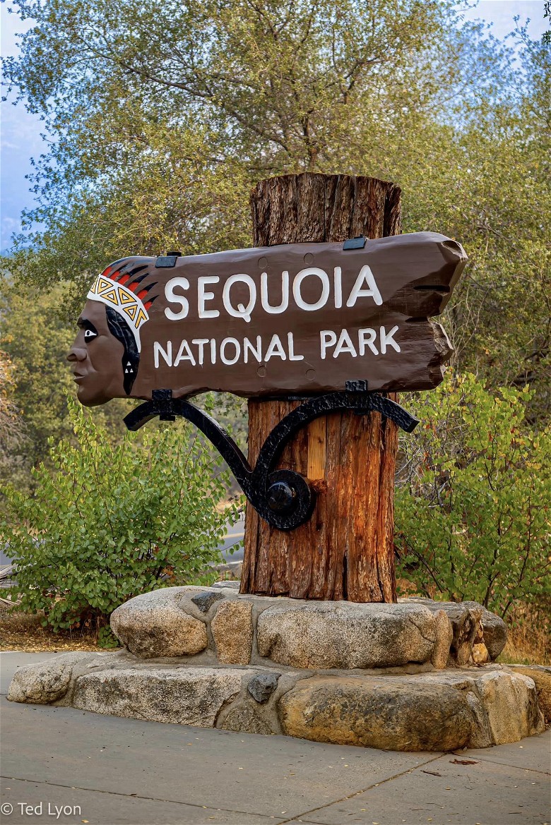 Must-See Places and Activities in Sequoia National Park