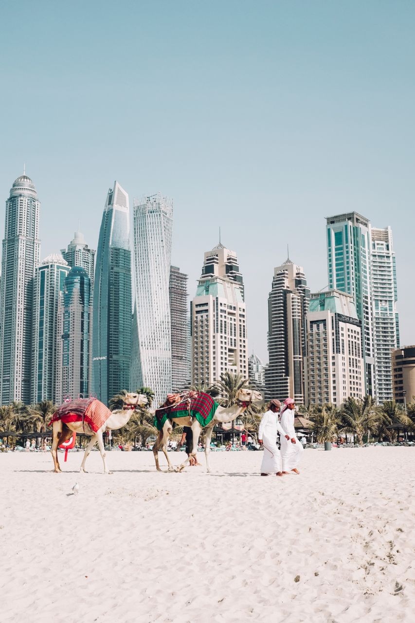 Some popular price comparison sites for flights to Dubai include Skyscanner, Kayak, and Expedia