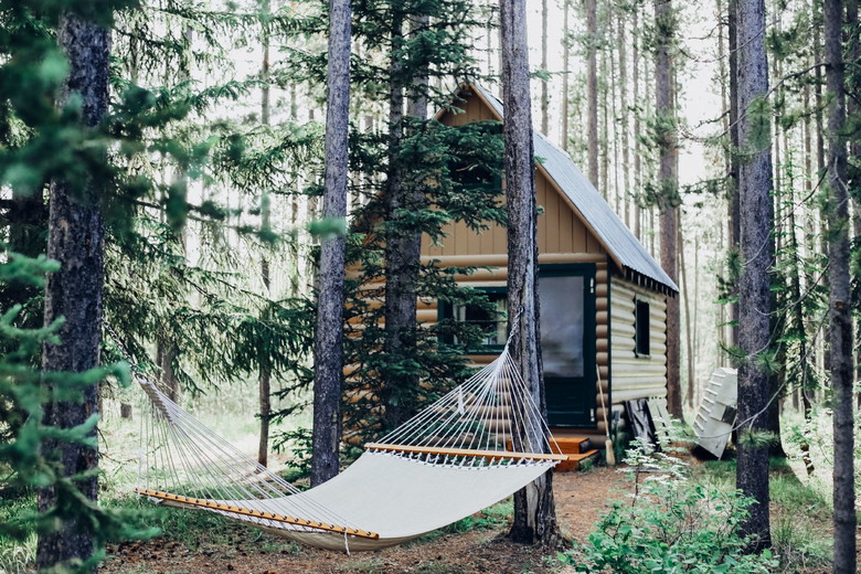 Unveiling Calgary Summer Day Camps: Your Ultimate Tourist Guide