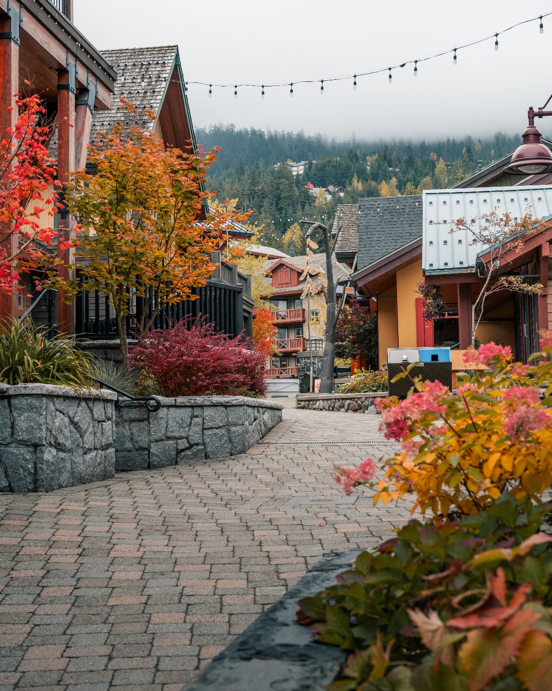 Whistler Blackcomb (British Columbia):