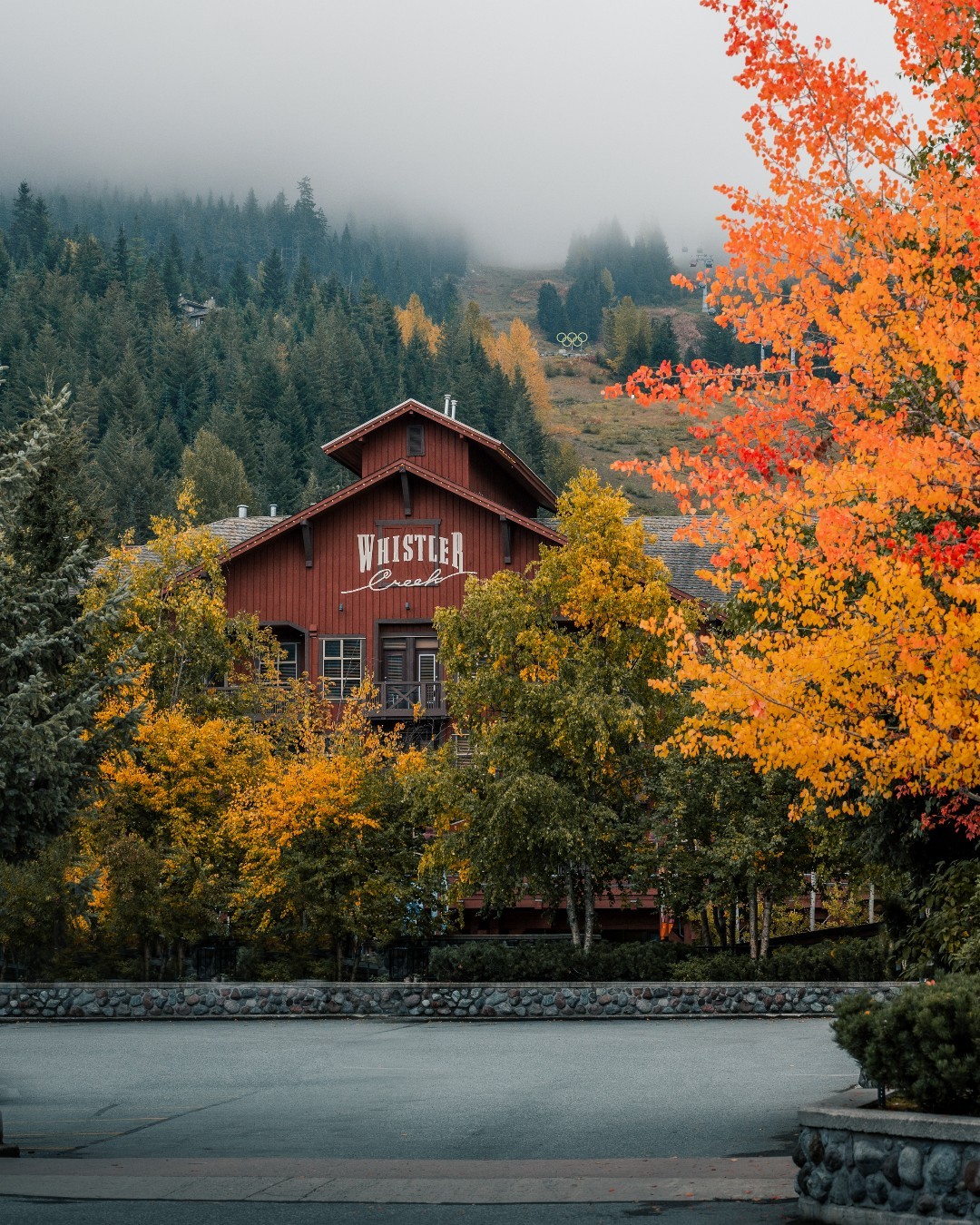 Fall: A Symphony of Colors in the Mountains
