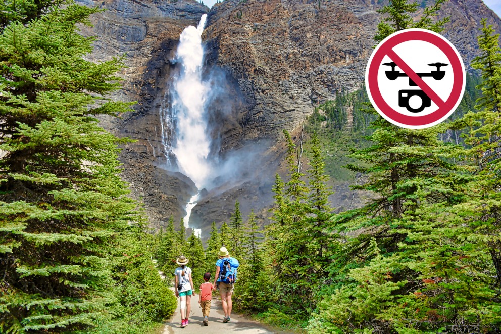 Takakkaw Falls: Standing tall at an impressive 384 meters (1,260 feet), Takakkaw Falls ranks among Canada's tallest waterfalls