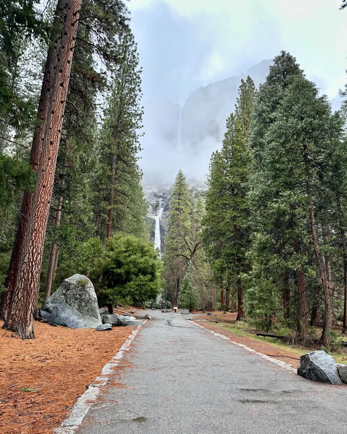 Exploring Yosemite Through Backpacking Adventures