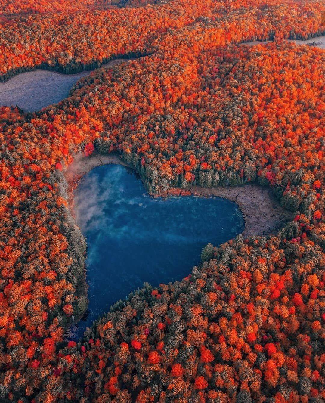 Algonquin Provincial Park in Ontario