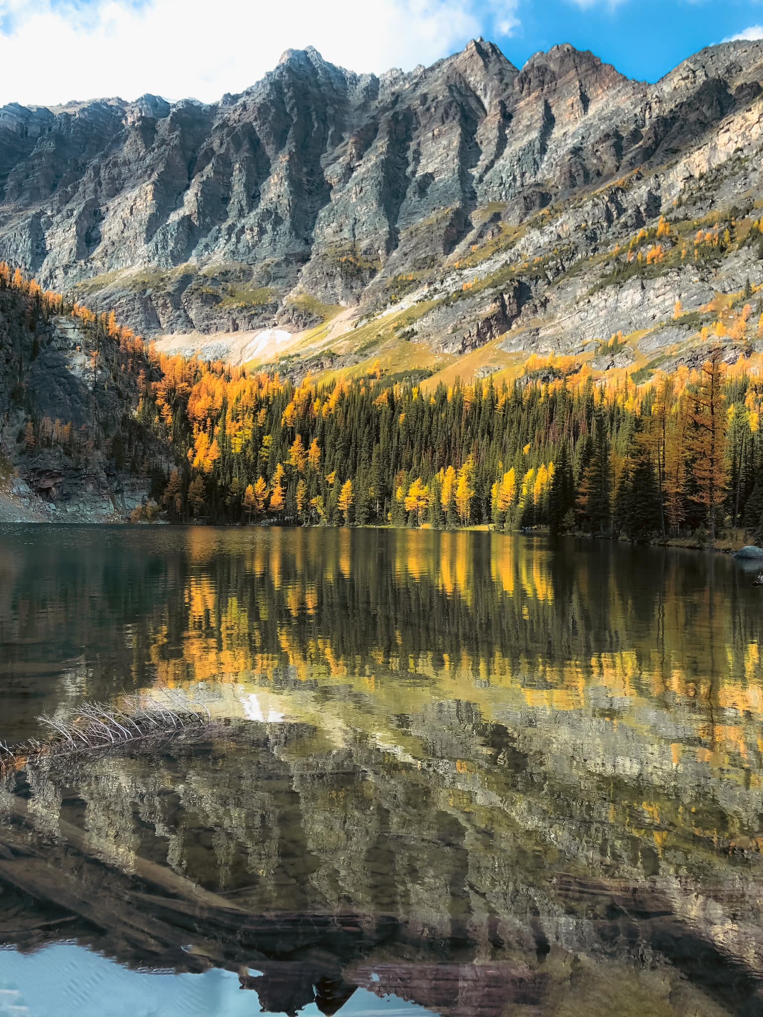 fall in  Banff National Park 