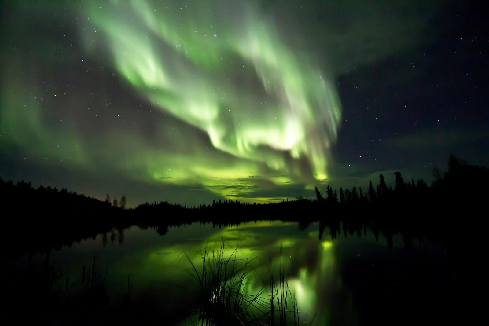 Canada offers a wide range of adventure activities. If you're visiting Yukon, don't miss the chance to witness the stunning Northern Lights