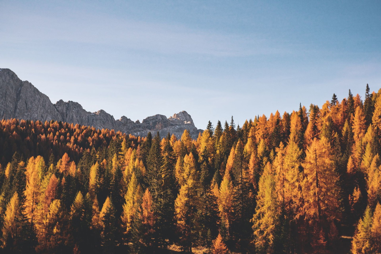 Best Time to Visit Algonquin Park for Fall Colors: