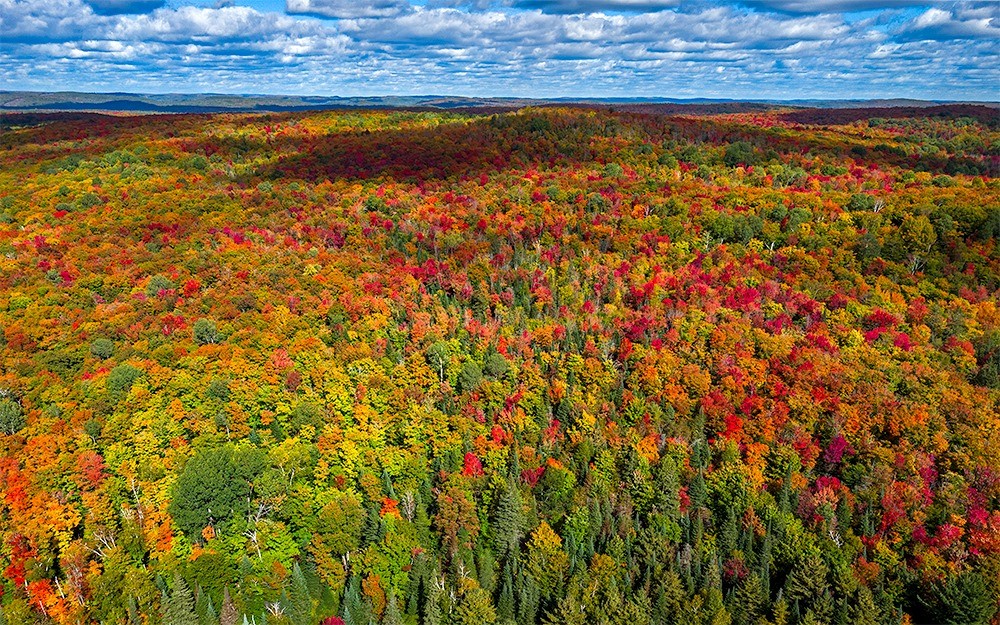 Photography Tips for Capturing the Vibrant Fall Colors: