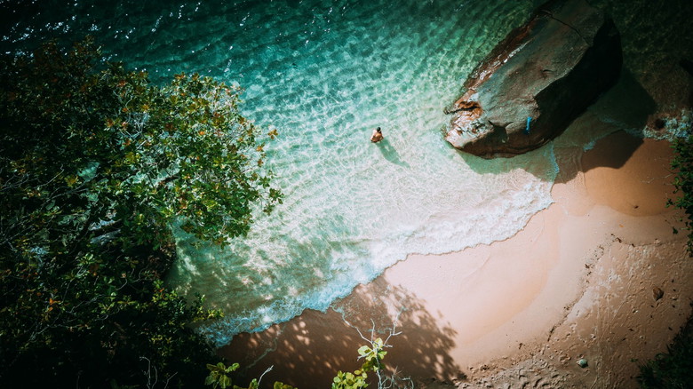 Top 10 Luxury and Budget-Friendly Hotels in Seychelles
