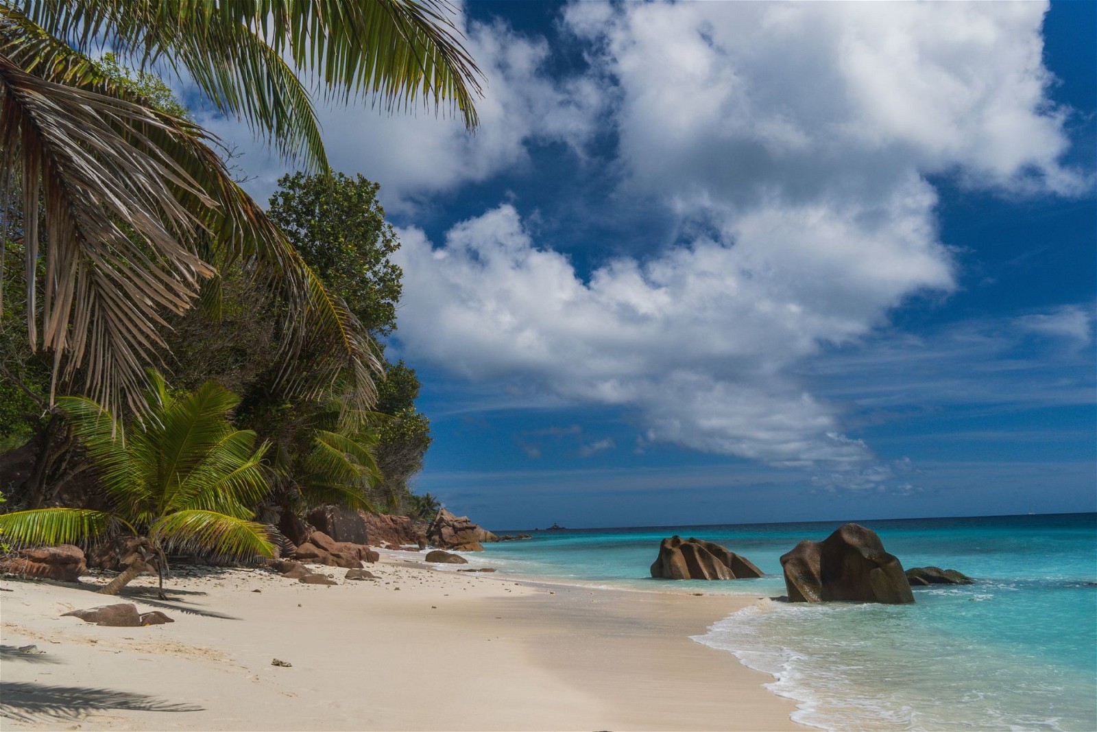 Accommodation options in Seychelles are available in a wide range that caters to every budget. 