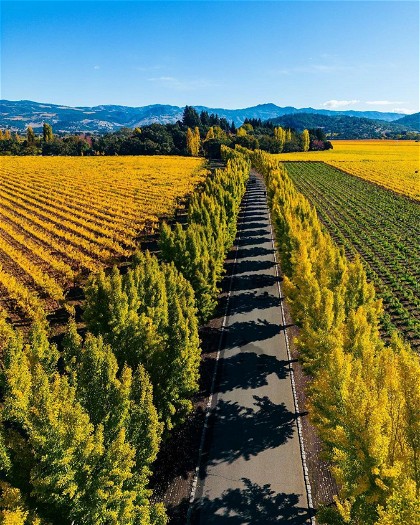 How to Travel from Canada to Napa Valley