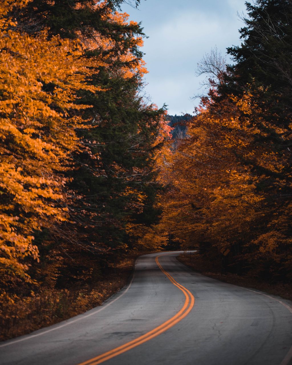 Fall in New Hampshire, a seasonal spectacle renowned for its stunning foliage, graces the northeastern region of the United States