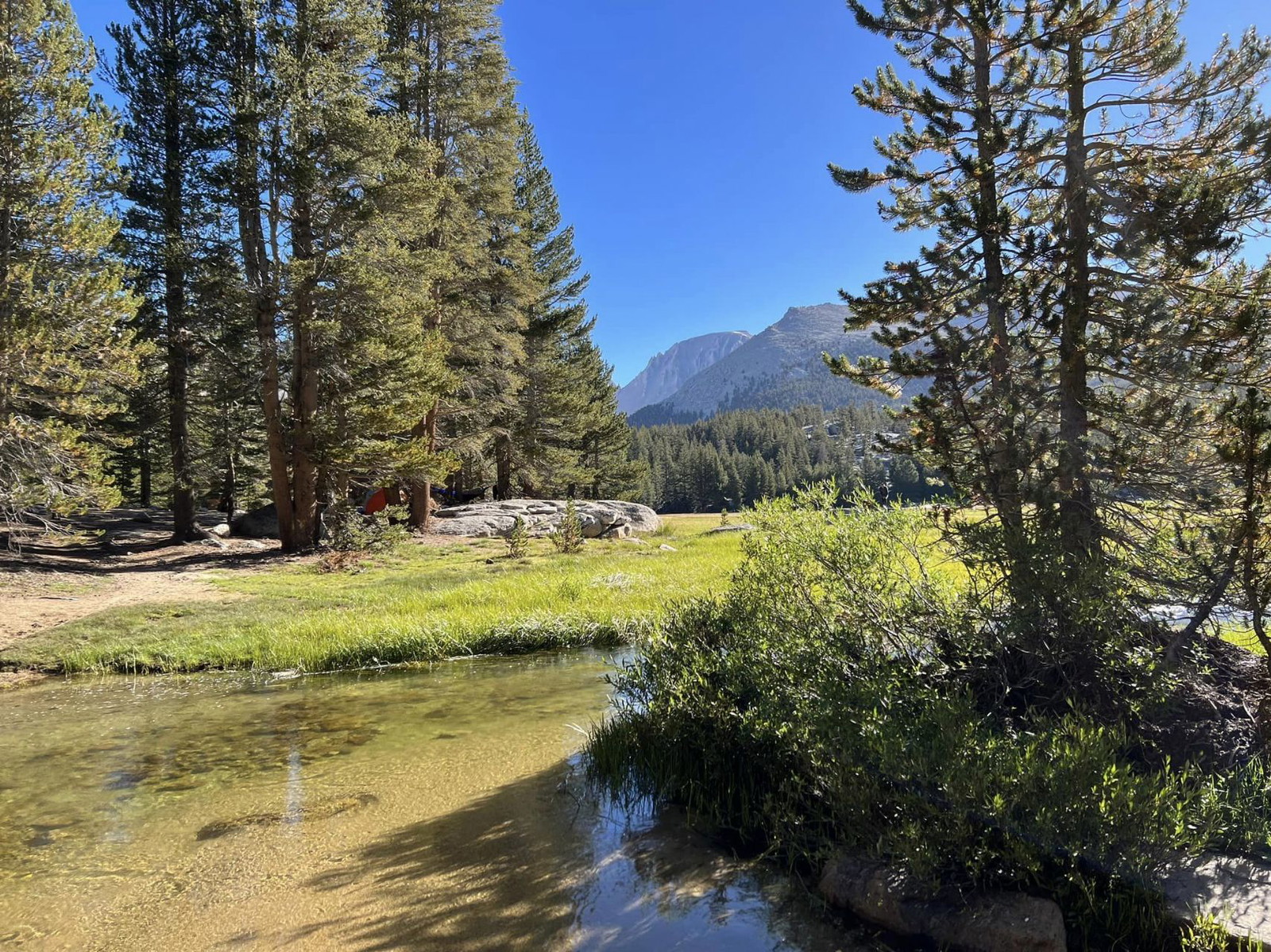 Where Is Sequoia National Park?