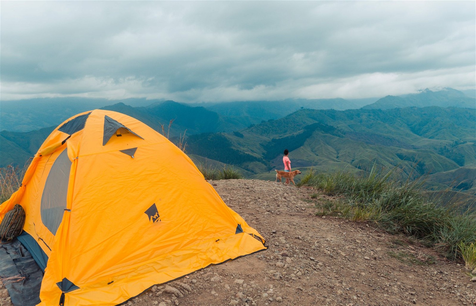 Choosing the right tent is a critical decision that defines your trekking and camping experience. Here are standout tent brands and their prices: