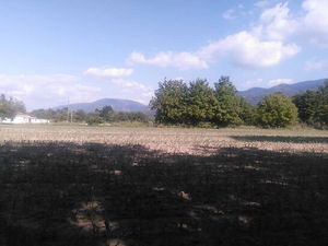 Düzce  Satılık  Arsa