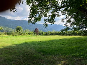 Düzce  Satılık  Arsa