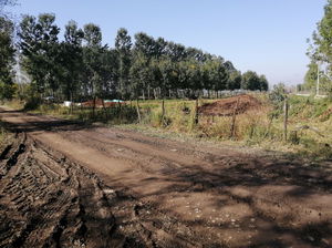 Düzce  Satılık  Arazi