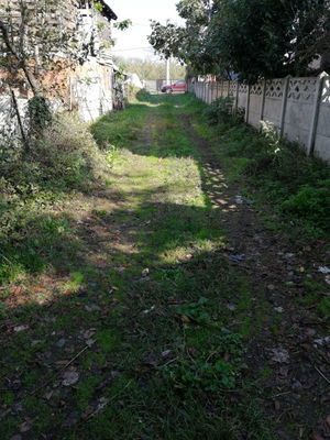 Düzce  Satılık  Fındıklık