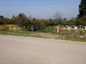 Düzce  Satılık  Fındıklık