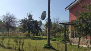 Düzce  Satılık  Çiftlik