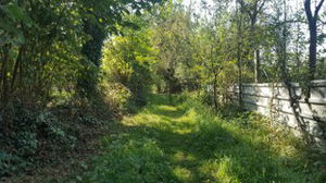 Düzce  Satılık  Arsa