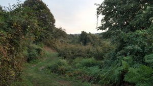 Düzce  Satılık  Arsa