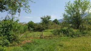 Düzce  Satılık  Arsa