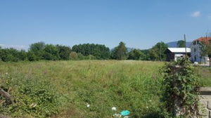 Düzce  Satılık  Arazi