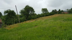 Düzce  Satılık  Arsa