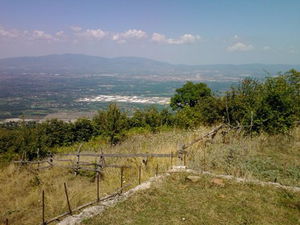 Düzce  Kiralık  Müstakil Ev