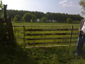 Düzce  Satılık  Arazi