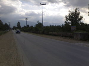 Düzce  Satılık  Fındıklık